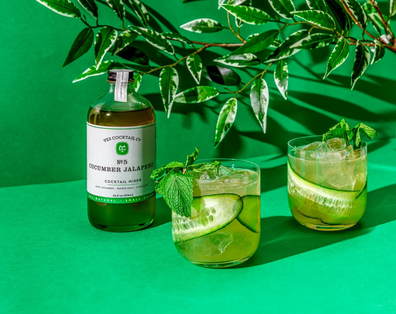Product_CucumberJalapeno_Mixer_Extra3-Large
